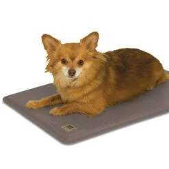 Deluxe Lectro-Kennel Heat Pad - Small