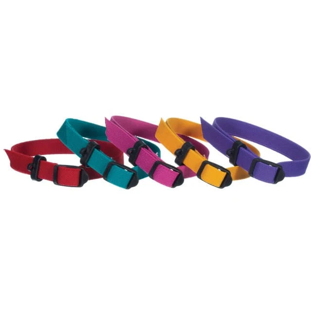 Breeder's Edge® ID Me™ Perfect Fit Collar - 5 Ct, Perfect Training Collar 2 Breeder's Edge® ID Me™ Perfect Fit Collar - 5 Ct, Perfect Training Collar - Image 2