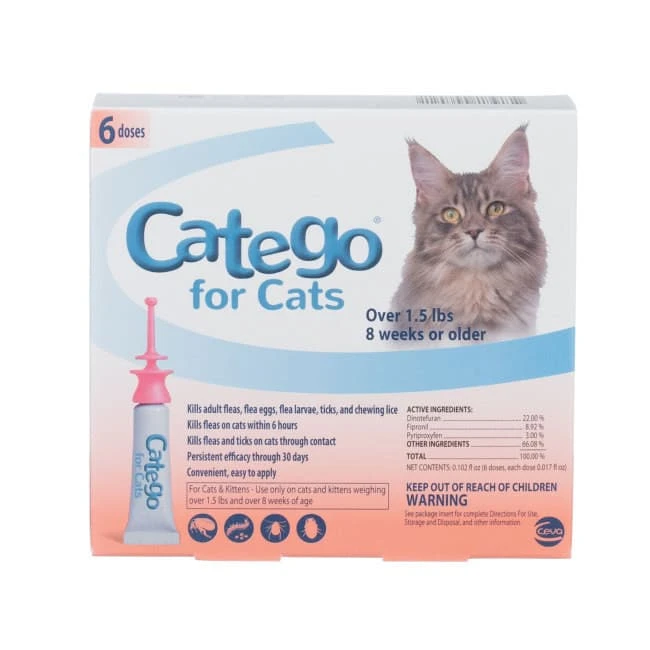 Catego® - 6 Pk 1 Catego® - 6 Pk