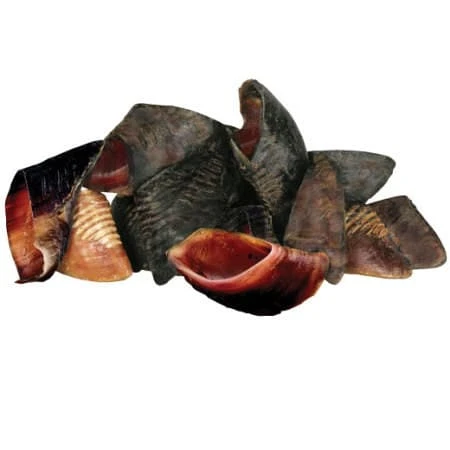 Hooves - 14 Pk 1 Hooves - 14 Pk